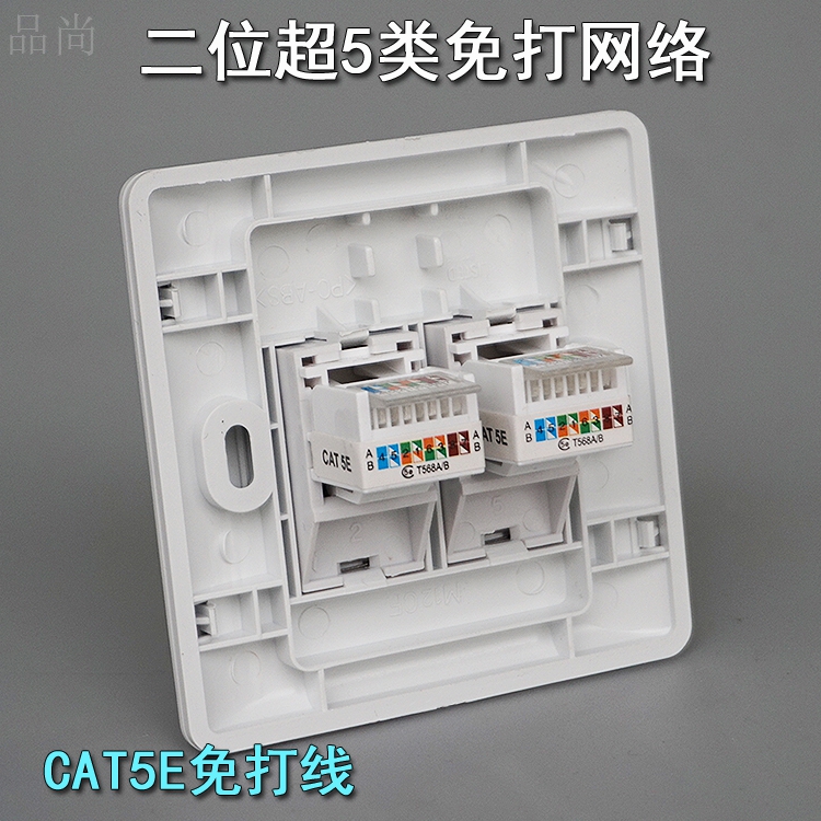 Type 86 AMP Ampep Twin Port Internet Panel Free internet route socket Computer information module Two-position Internet socket