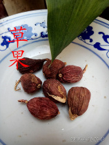 Grass fruit nutmeg seed grasses old grasses can be powdered one 250g 2 servings