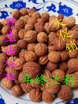 Wanxianshan wild peach kernel raw peach kernel can be carved and can be planted with raw peach core 5kg