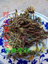 Taihang Mountain dry wild vegetables Podding vegetables wild whole farmhouse with roots self-collected dandelion 2