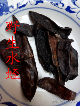 Leech Wild Leech Water Dry Leech Dry Leech Can Beat Powder One 100g 2 Parts