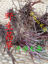 Wanxian Mountain Wild Rudder Root New Weaver Dried Blood Grass Red Sime Sulfur-free Deep Mountain Digging