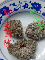 Wanxianshan wild Yinchen new products Yinchen seedlings dry goods Yinchen whole grass 3 month young seedlings 2