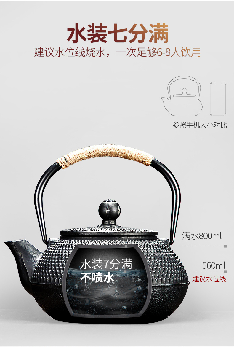 Tang Feng teapot cooked tea is tea set suit household electric iron pot of cast iron pot TaoLu kettle kung fu tea furnace