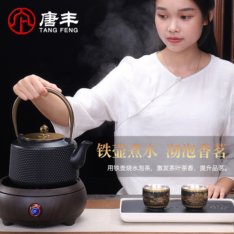 Tang Fengtie cast iron pot of cooked pot household contracted electricity TaoLu kettle electrothermal furnace boiling tea is tea stove suits for