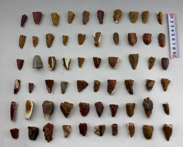 Red Hills Cultural Scraping Instrumental History Prehistoric Civilization Kop Teaching Research Aids Specimen Fine Stone Instrumental to Manau Stone Nuclear