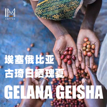 Ethiopias ancient guchi producing areas of summer sunburn coffee bean coffee powder 115g