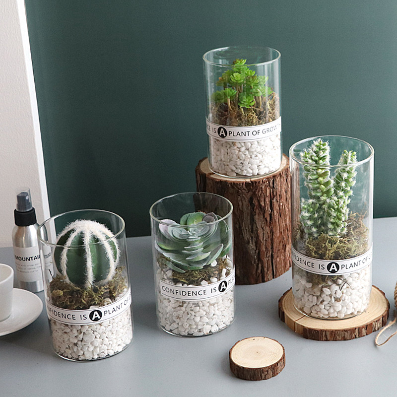 Multi-meat simulation plants ins Nordic potted cactus green planting decorative fake flower desktop small swing piece indoor living room