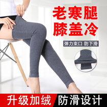 Cashmere Kneecap Warm And Old Chill Leg Woman Autumn Winter Thickened Wool Protection Leg Over Kneecap Stockings Jacket Protection Calf Anti Slip