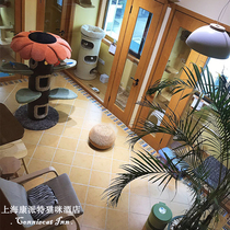 Shanghai Kangpaitt ConniecatINN cat hotel cat foster holiday to renovate tourist pet foster care