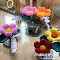 Kangpaite-catry Kerry Flower Cat Climbing Frame Cat Tree House Flower Villa Flower Small Cat Climbing Rack