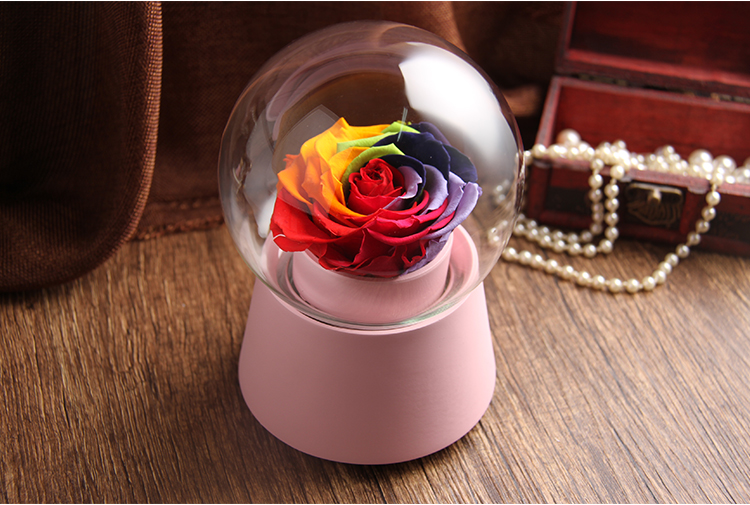 Xoay âm nhạc pha lê bóng vĩnh cửu hoa bảo quản DIY hộp hoa khô flower glass chuông bìa hoa sắp xếp chất liệu