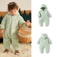 Розовый зеленый 40339