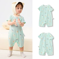 Зеленый тон-милый тюлень