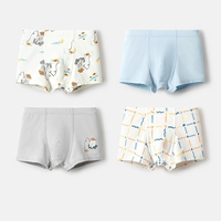 Серый (антибактериальная промежность антибактериальной промежности)