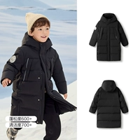 Черный азор-уток пушистый