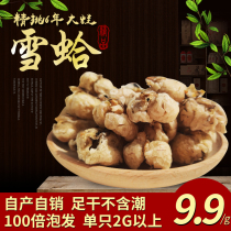 Papaya stewed snow clam Changbai Mountain snow clam oil forest wow oil oil Fine pick 20 grams big snow ha