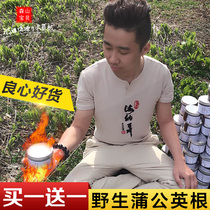 Dandelion root tea Changbai Mountain wild mother-in-law fire pure natural new goods Gu Ding tea