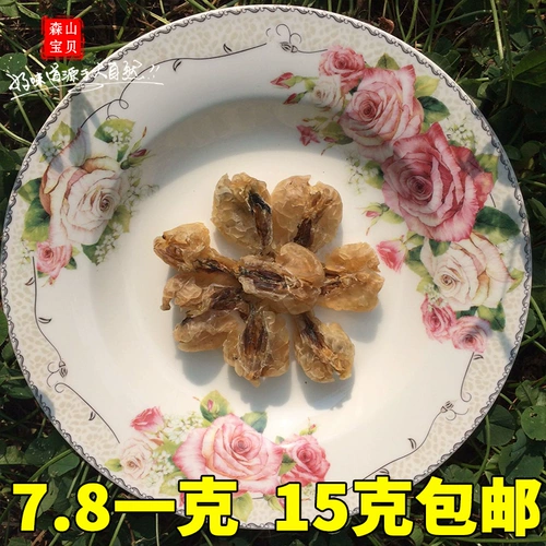 Подлинный снежный клад с заснеженной кладкой Кламе Клам Клада Клада Клатидия Северо -восточный снежный снежный моллюско