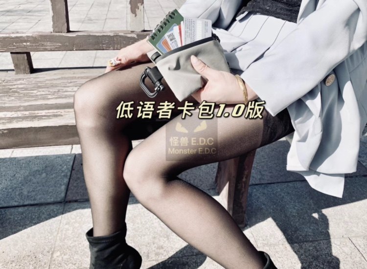 Low Whiskers Admission Package 1 0 Edition Card Pack Accessory Kits Edc Small Miscellaneous Bag Digital Waterproof kits Edc equipment