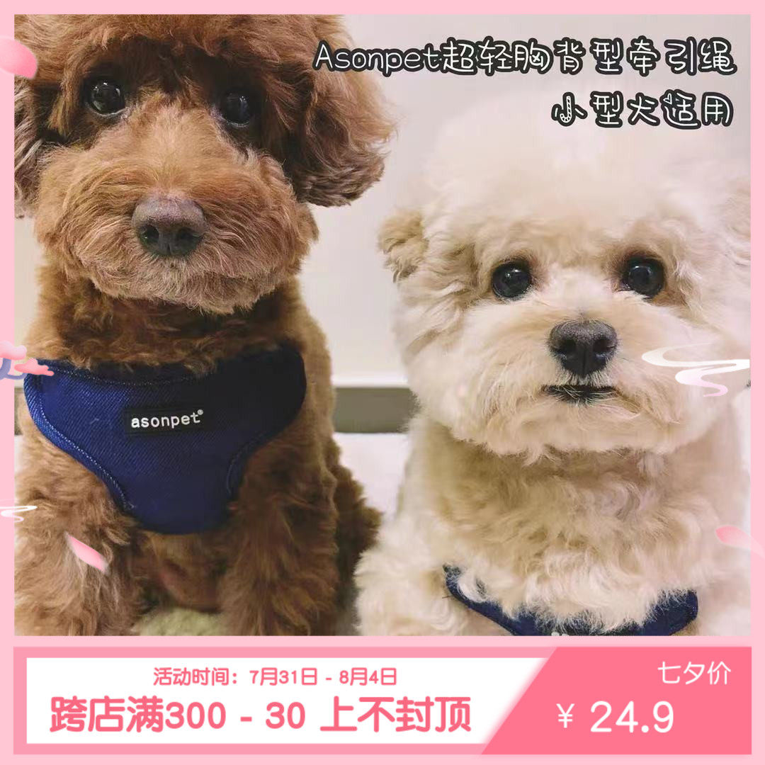 Paparazzi drinking coffee ASONPET small canine dog denim chest back traction rope teddy Bears fight cokie