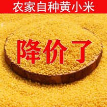 Rice fat yellow millet new rice 5kg farmhouse self-produced millet in northern Shaanxi nourishing stomach small yellow rice cereal porridge 2500g