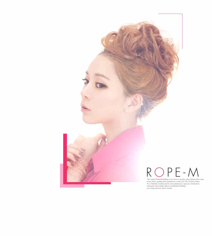 Extension cheveux - Chignon - Ref 248653 Image 6