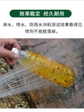 Гуатурные мухи, клей, сад, оранжевые твердые мухи, пчела -би, клей