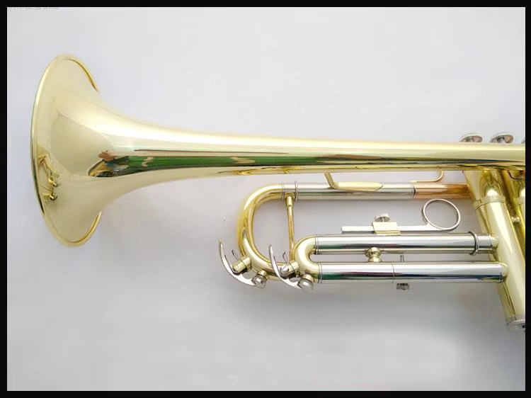 Nhạc cụ kèn Bach chính hãng LT180S-72 mạ bạc kèn nhạc cụ Nhạc cụ phương Tây chất lượng tuyệt vời