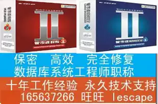 After-sales service data repair housekeeper software online installation and maintenance database reinstallation remote technical support