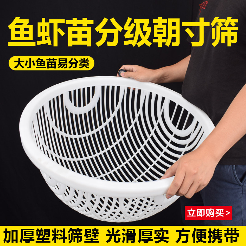 Plastic fish fry shrimp fry size grading sieve eel sieve loach sieve crayfish yellow ancient fish sieve catfish corrosion-resistant sieve