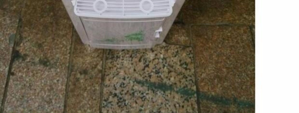 Xial dọc nóng và lạnh hộ gia đình nước đá lạnh ấm thông minh tiết kiệm năng lượng ký túc xá máy tính để bàn thùng tỉnh Quảng Đông máy lọc nước ro