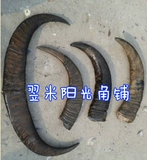 Бычий угол сырье натуральное декоративное угловое наконечник Сплошное сырье Собевое угловое угол угловой угол угловой угол Диагональный сырье