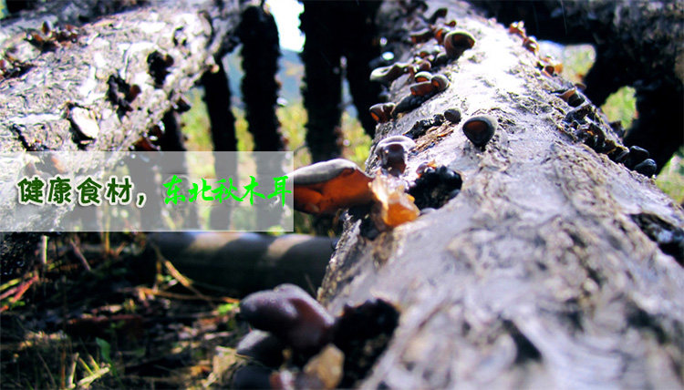 Первый экран 2.jpg