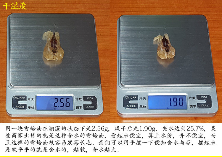 Детали масла снежного моллюсков (два) _06.jpg