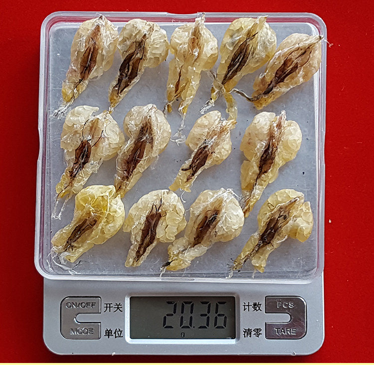 Детали масла снежного моллюска (два) _05.jpg