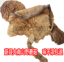 Hebei Zhangjiakou Teruwei County Dainan Mountain Bacteria Mushroom Without Sediment and Delicious Aroma