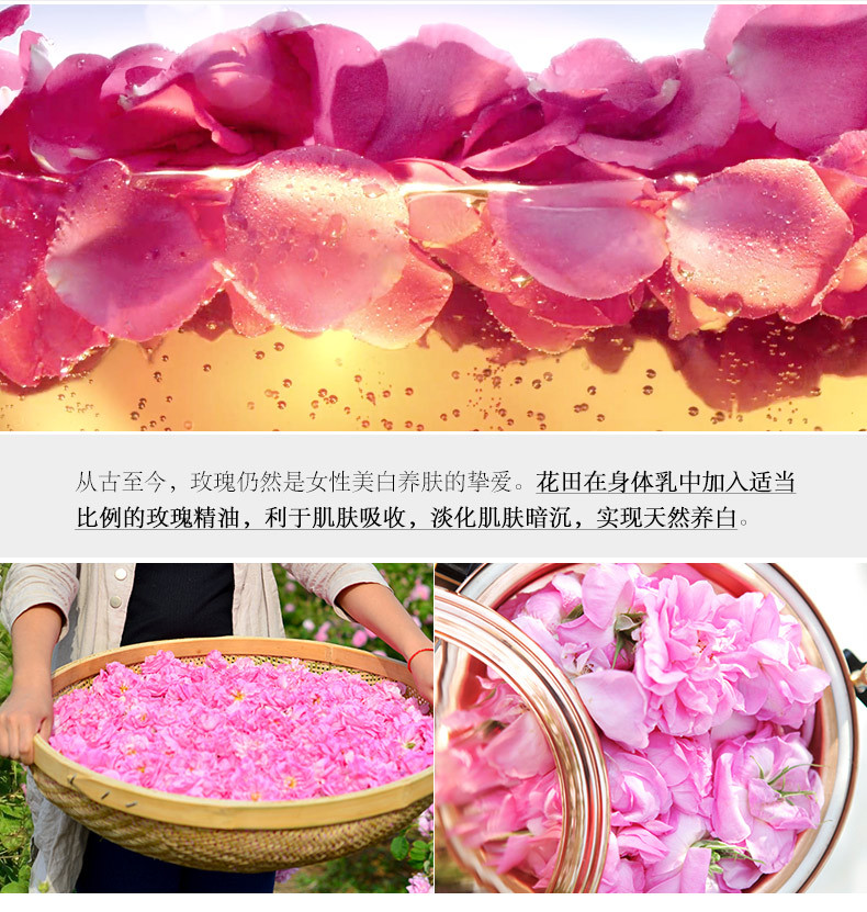 Hoa mẫu đơn nửa cánh đồng làm trắng cơ thể dưỡng ẩm giữ ẩm dưỡng ẩm giữ ẩm cho cơ thể lâu dài hương thơm chăm sóc cơ thể nữ sữa tắm cá ngựa đức