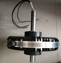 Disc type ironless generator Coarse shaft outer rotor generator purchase 50A 1kV rectifier