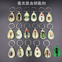 Insect specimen artificial amber luminous car keychain pendant Personality creative jewelry Cute cartoon pendant