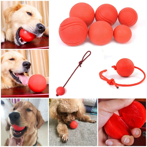 Игрушки для собак, измельчение зубных силиконовых сплошных шариков Золотые репо, Hastecason Teddy Interactive Pet Training