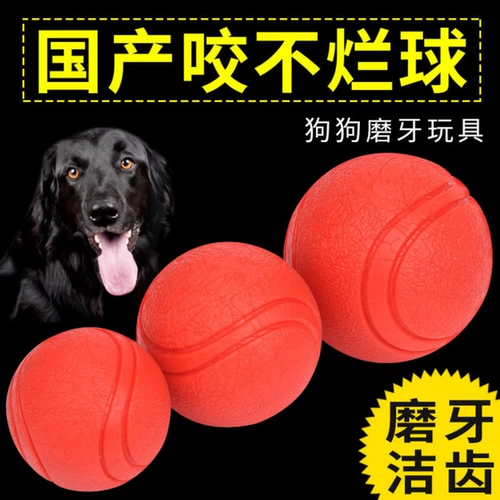 Игрушки для собак, измельчение зубных силиконовых сплошных шариков Золотые репо, Hastecason Teddy Interactive Pet Training