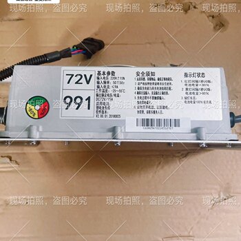 Rein Bidewen Bao Luda Electric Car Charger/Original Lithium Battery Charger 991