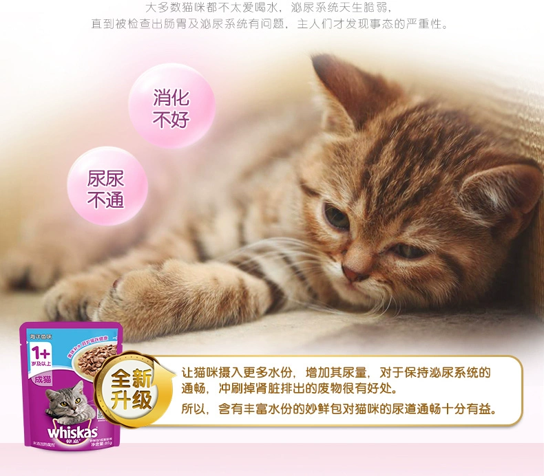 Wei Jiamiao Fresh Pack Cat Wet Food vào Cat Cat Snack 85g * 24 Pack Cat đóng hộp dưỡng ẩm Dinh dưỡng Tóc Nhai Gói thức ăn ướt - Đồ ăn nhẹ cho mèo
