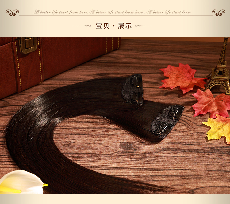 Extension cheveux - Ref 218717 Image 14