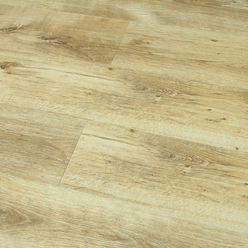 �ĺ�ǿ�����ϵذ�609000000020002