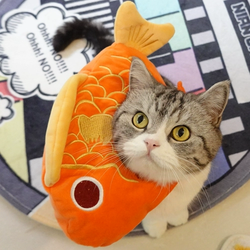 Удачи домашним животным каждый год, удачи в новом году, головной убор в виде рыбы кои, новогодняя шапка для кошки, благоприятное платье, британский короткий американский короткий головной убор