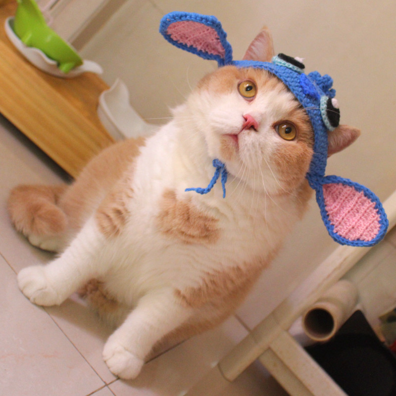 Hand-woven Stitch shape cartoon hat cute pet cat hat cat headgear American short British short cat headdress