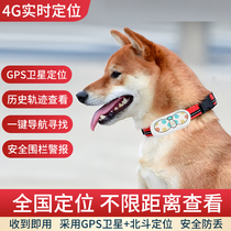 Pet dog locator cat GPS anti-lost tracking device anti-lost hound collar tracking device