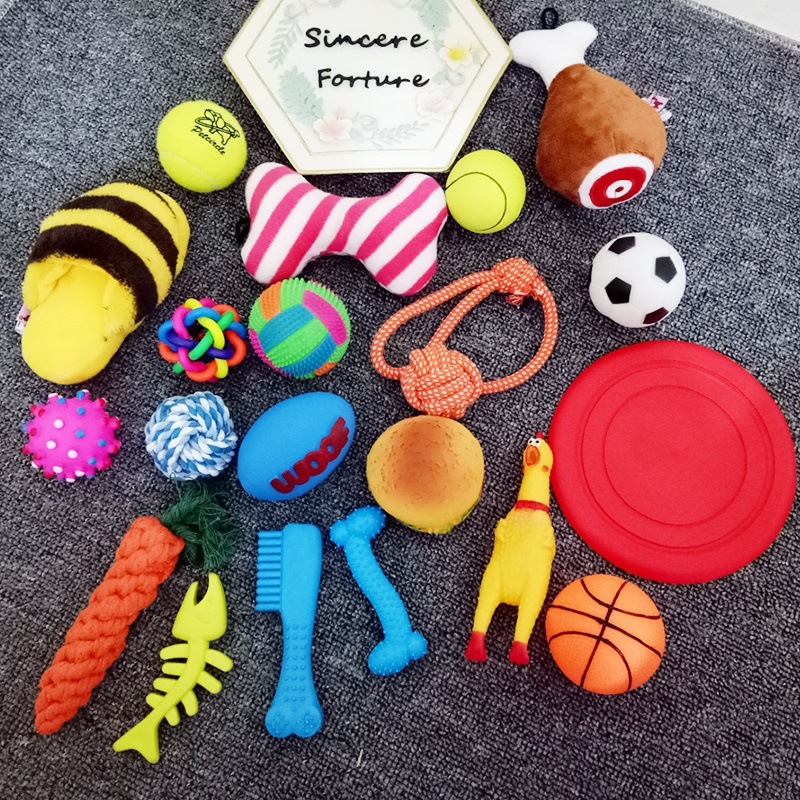 Pet toy teddy dog ​​supplies set small dog full set than bear voice Labrador cute puppies